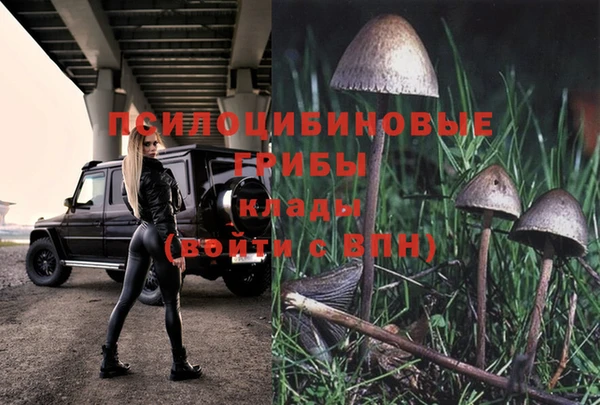гашиш Алзамай