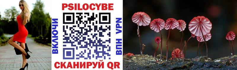 цены   Новоуральск  Псилоцибиновые грибы мицелий 